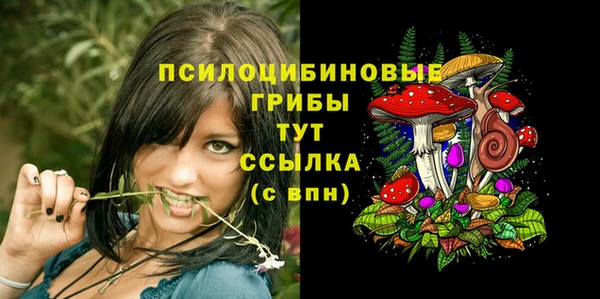 сатива Абдулино