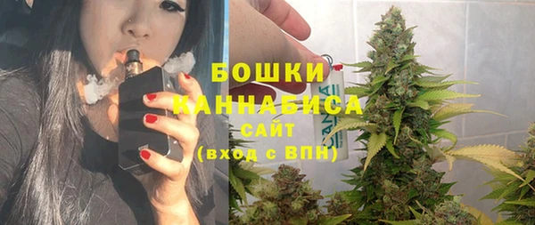 дмт Абаза